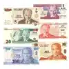 Complete Turkey 8th Issue Banknotes Set (2005) - 1 to 100 Lira with Atatürk