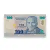 Close-up of Turkey 100 New Turkish Lira Banknote Design